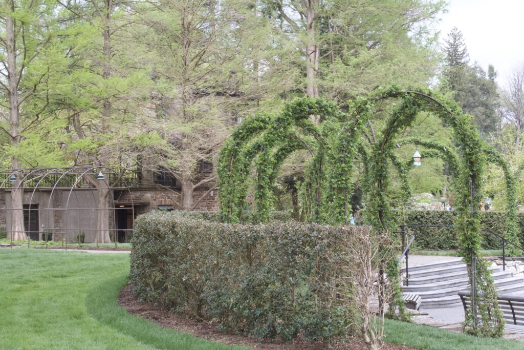 Clipped green arches rising above a hedge in a formal garden