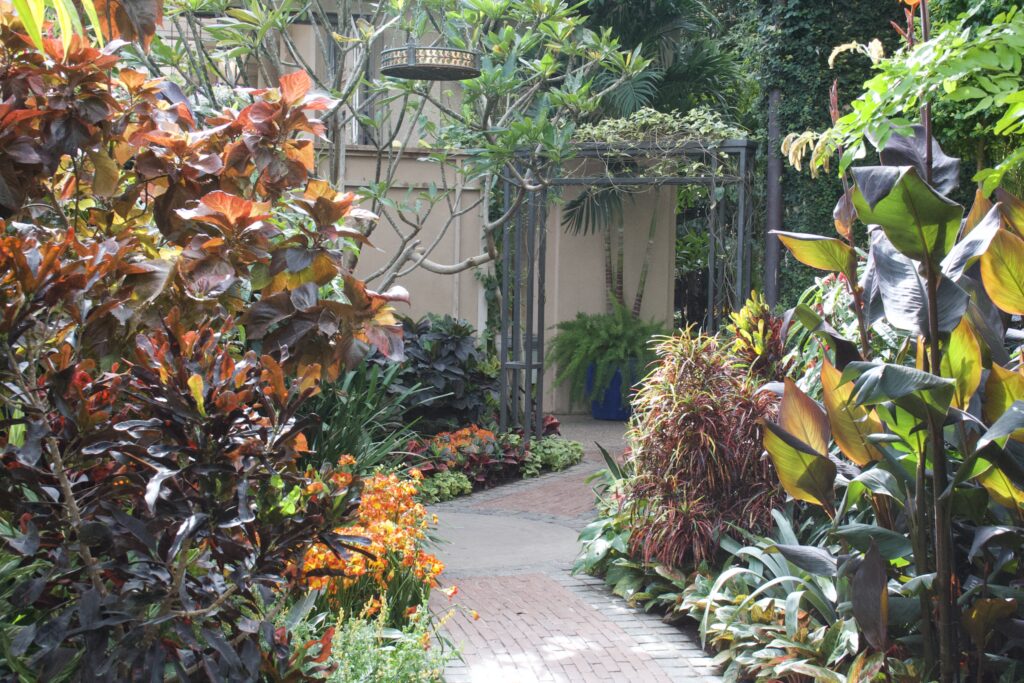 Brick path winding through deep red and orange ornamental foliage