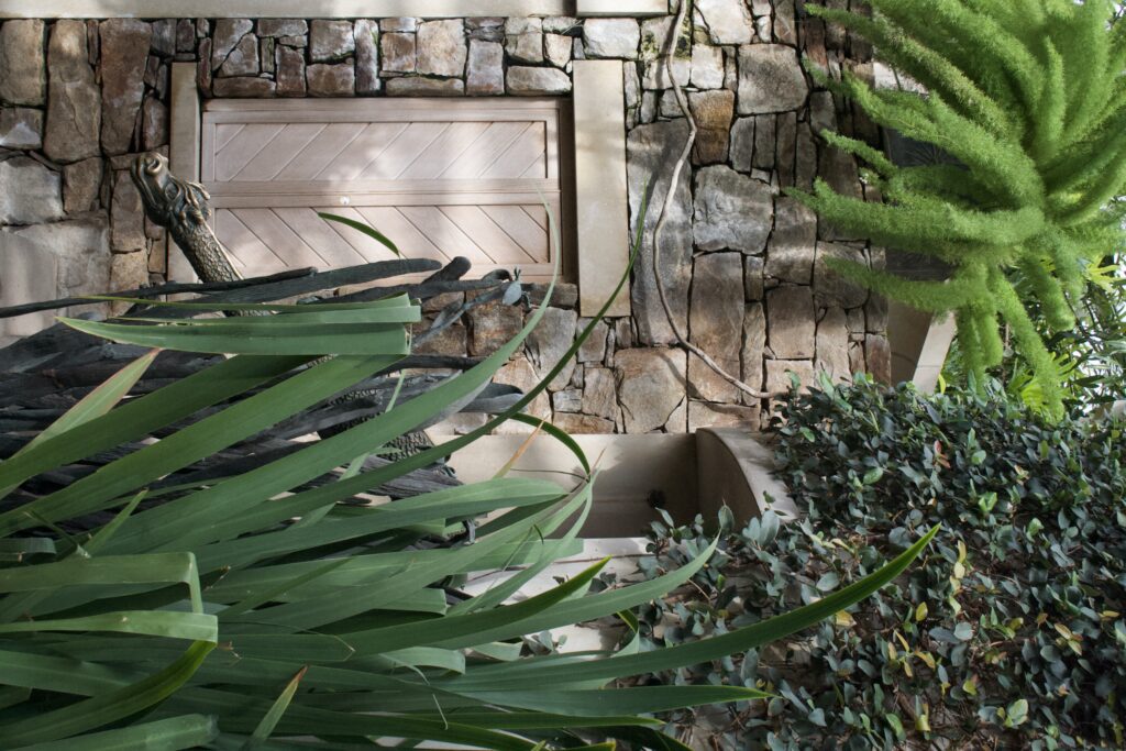 Weathered stone wall framed by arching green foliage