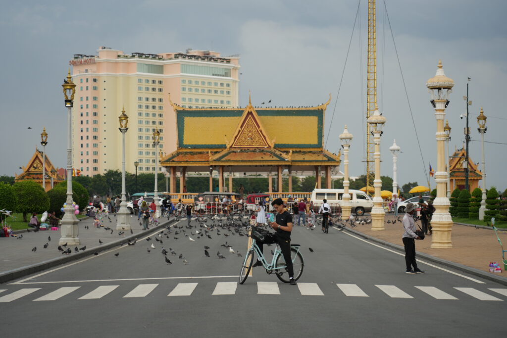 Cyclist and pigeons on a boulevard before a riverside pavilion