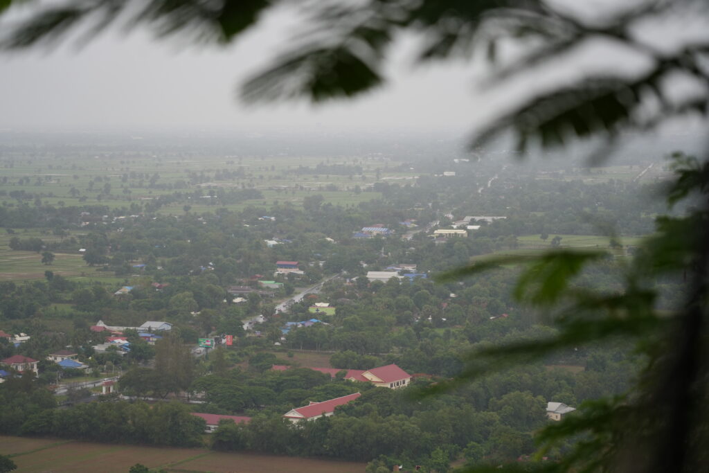 A hazy green valley framed by dark leaves in the foreground
