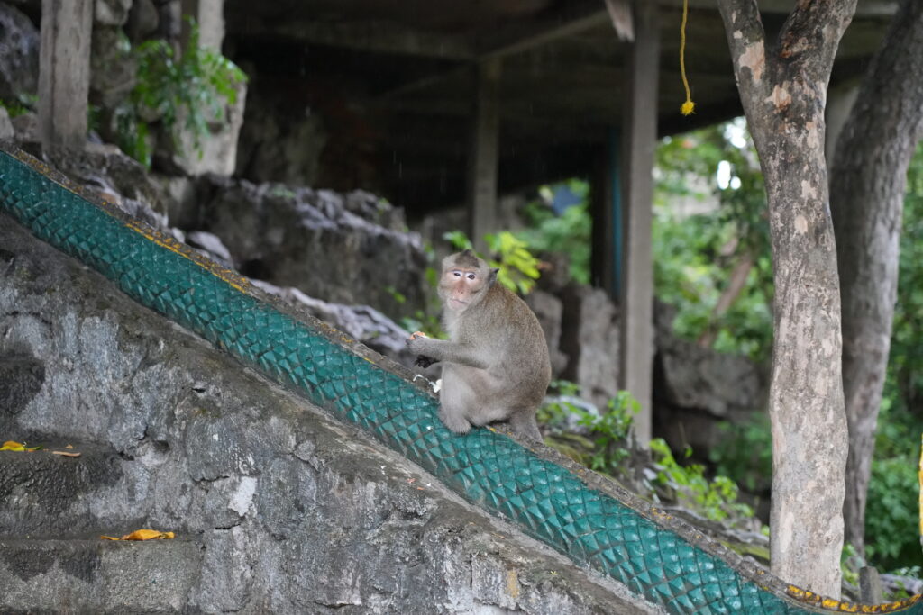 A macaque perched on a green tiled temple balustrade