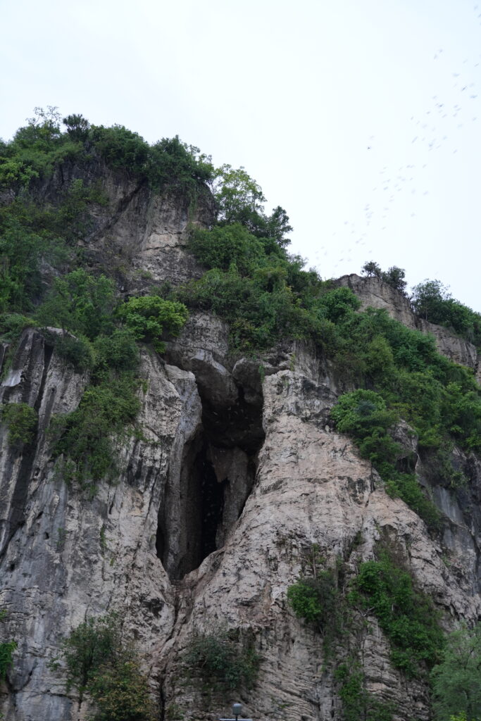 Sheer weathered limestone cliffs topped with green scrub