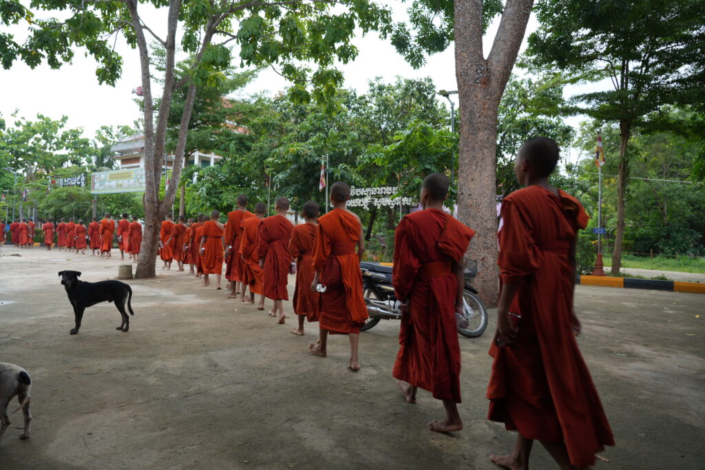 A long line of monks in saffron robes walking a road at dawn, a dog crossing behind