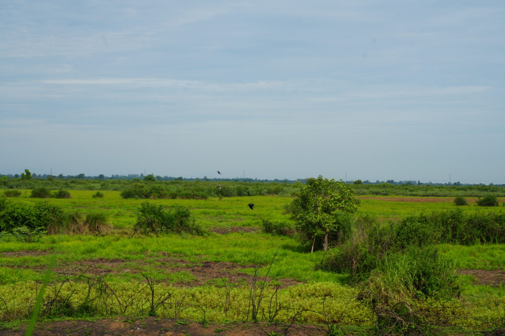 Scrub and standing water across a wide monsoon floodplain