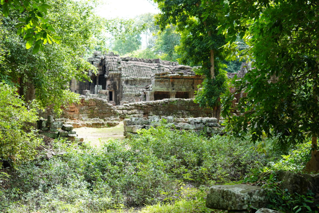 Collapsed temple walls half buried in green undergrowth