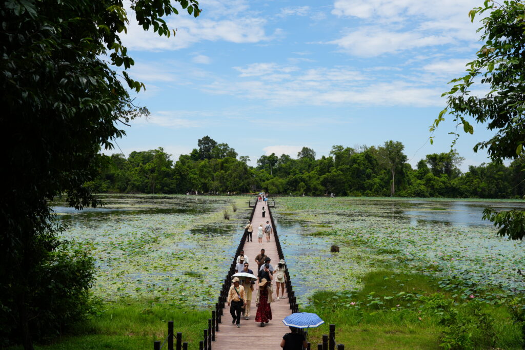 Visitors with umbrellas crossing a narrow causeway over a lotus lake