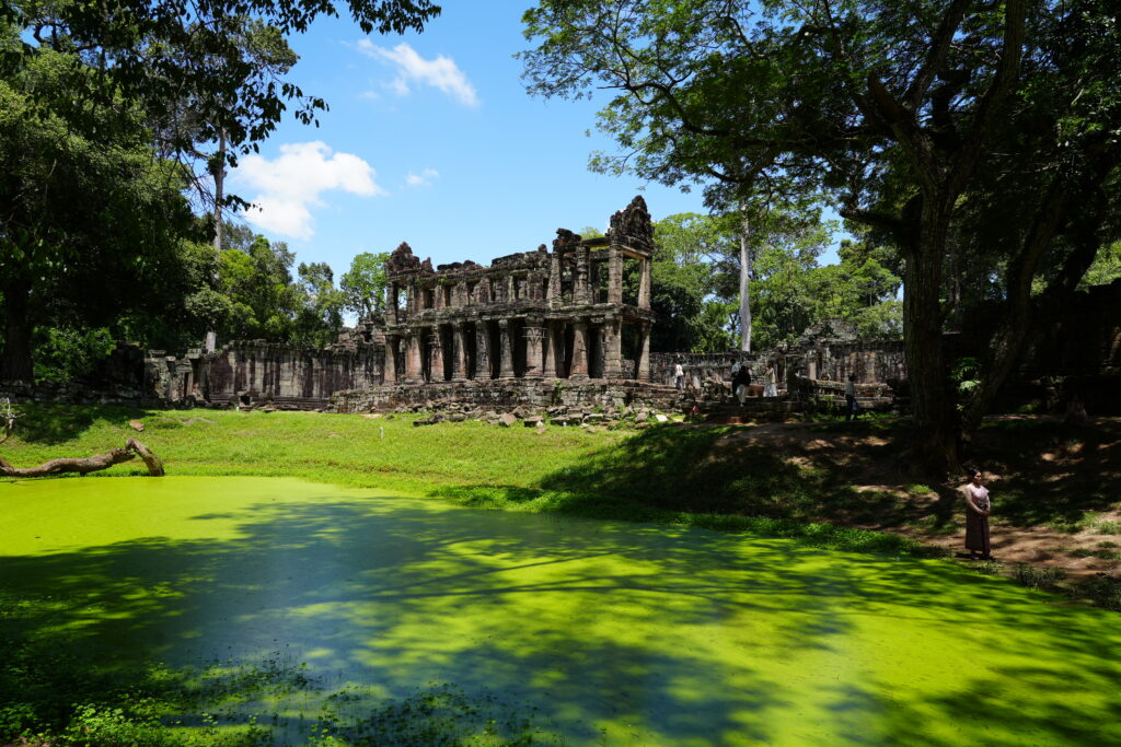 Vivid green algae covering a pool below ruined temple galleries