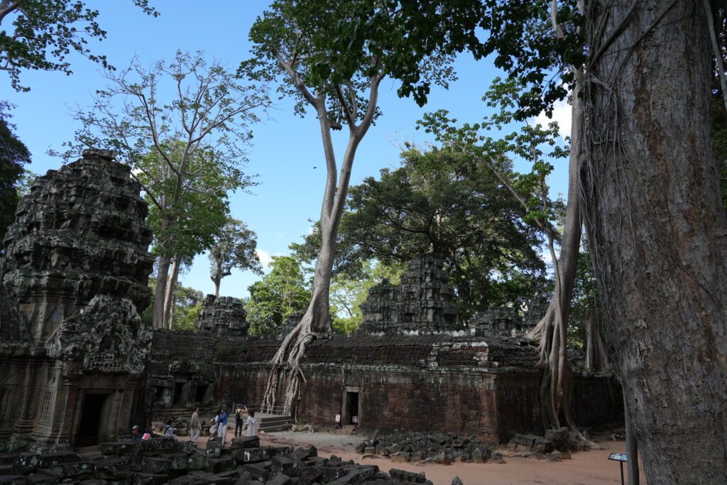 A ruined courtyard with roots spilling over the walls