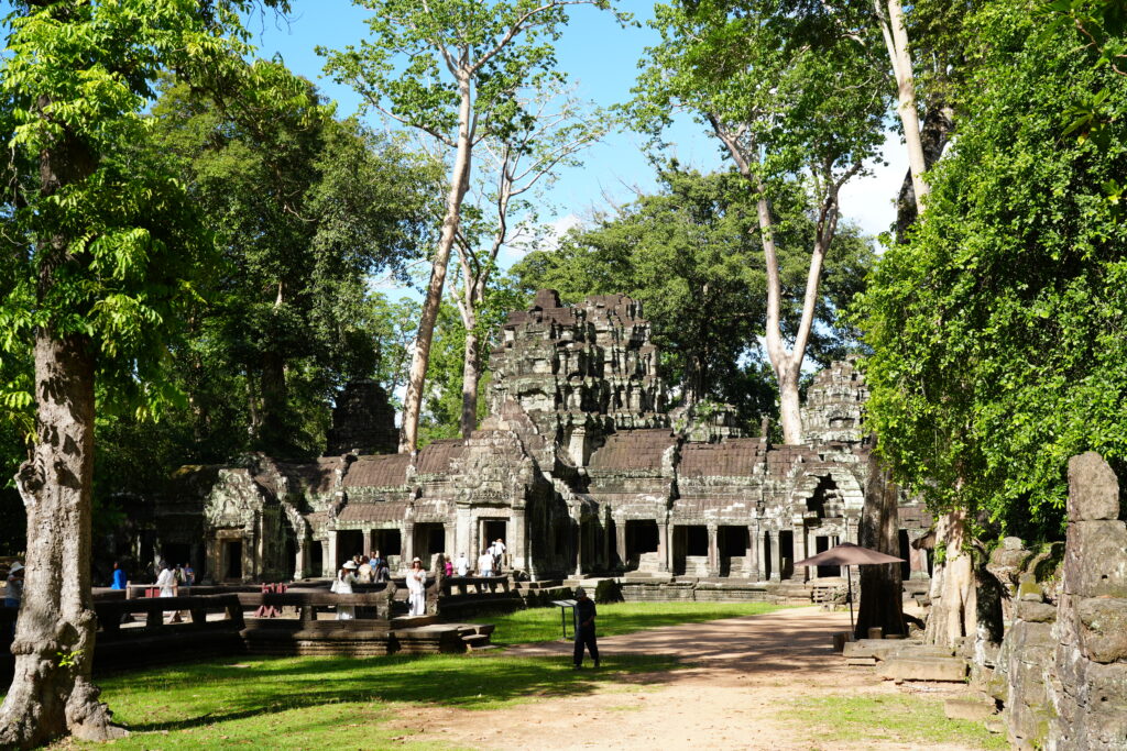 Tall trees rising from the galleries of a jungle temple