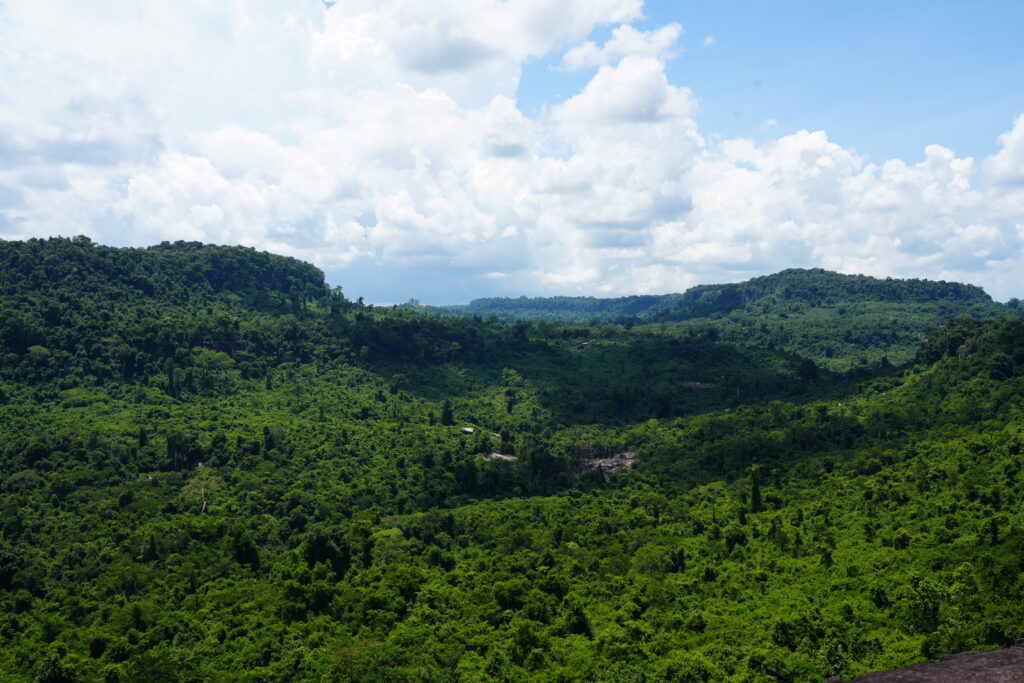 A broad forested valley under towering white clouds