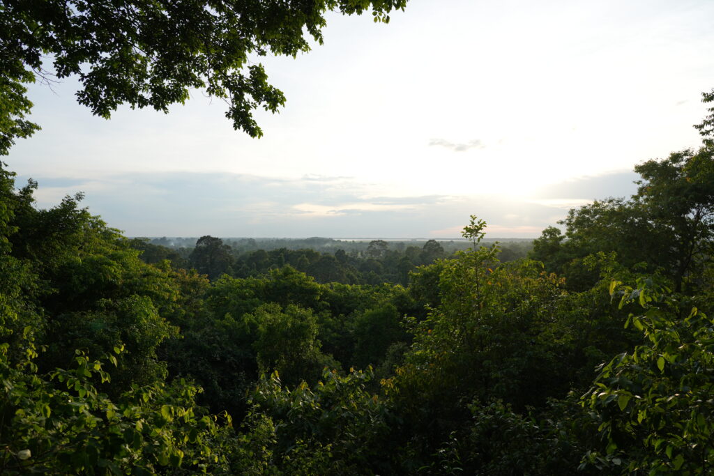 Sun sinking behind a ridge of dense jungle canopy