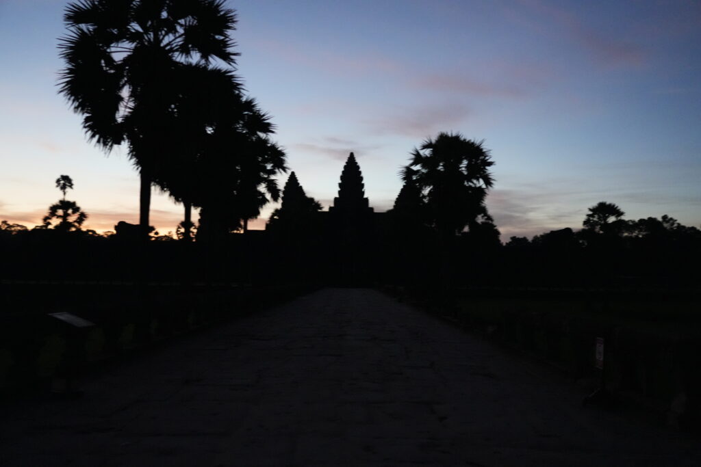Palms and temple towers in silhouette along a dark causeway