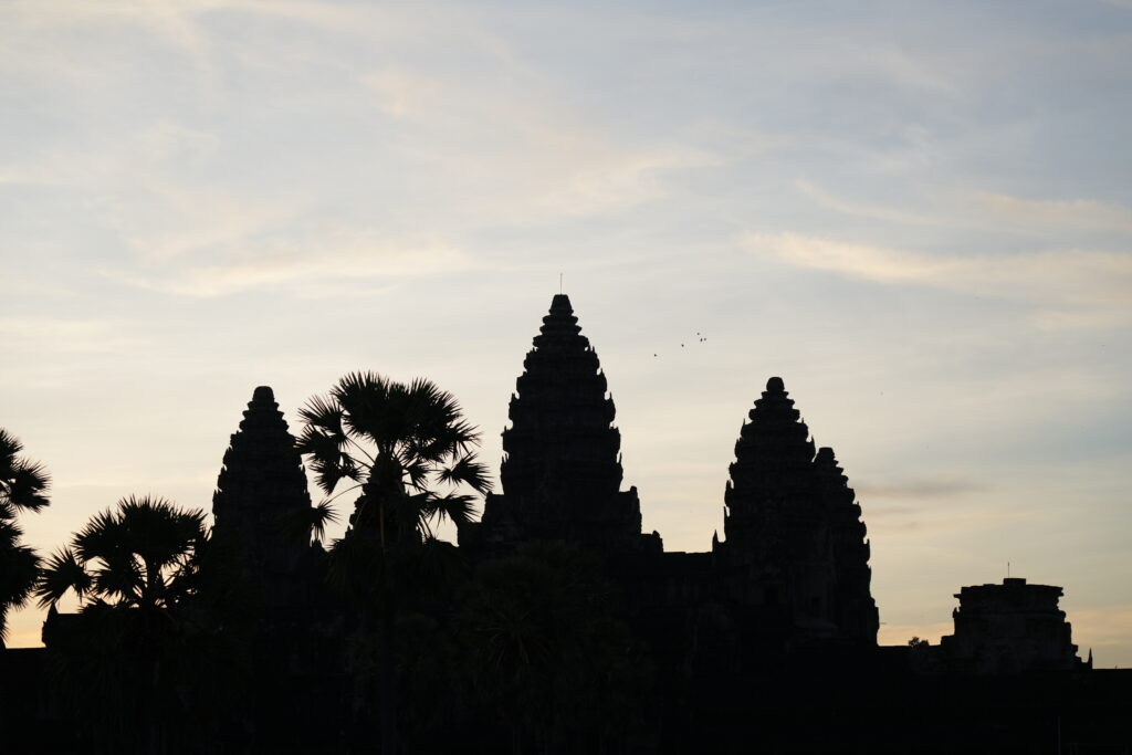 The towers of Angkor Wat and sugar palms against a soft dawn sky