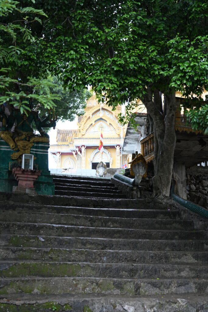 Temple staircase framed by tree