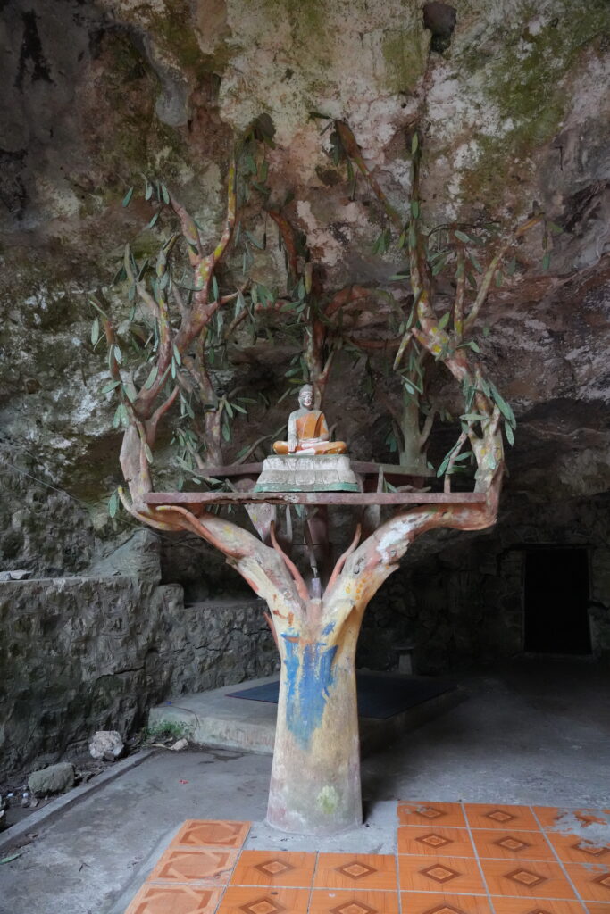 Buddha under painted tree shrine in cave