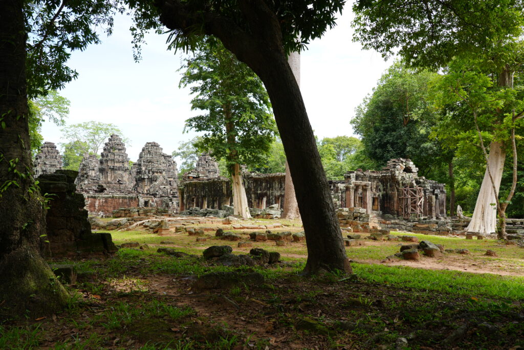 Temple cluster framed by tree