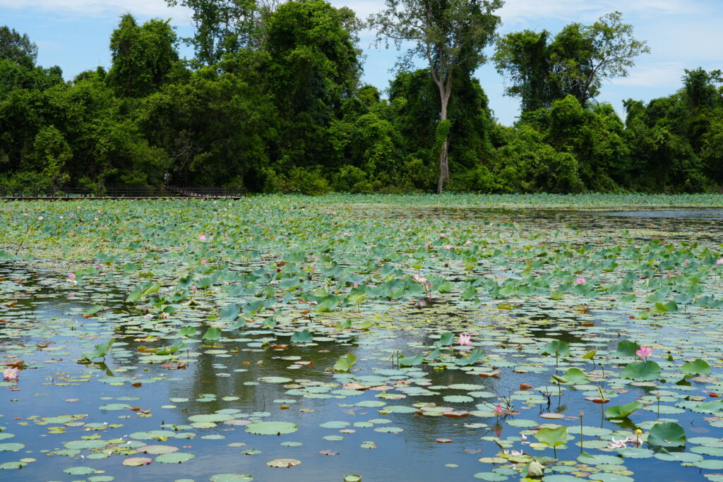 Neak Pean lotus causeway