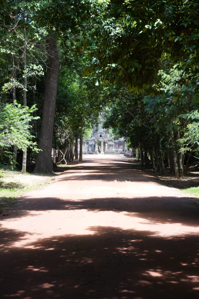 Tree-tunnel causeway to temple gate