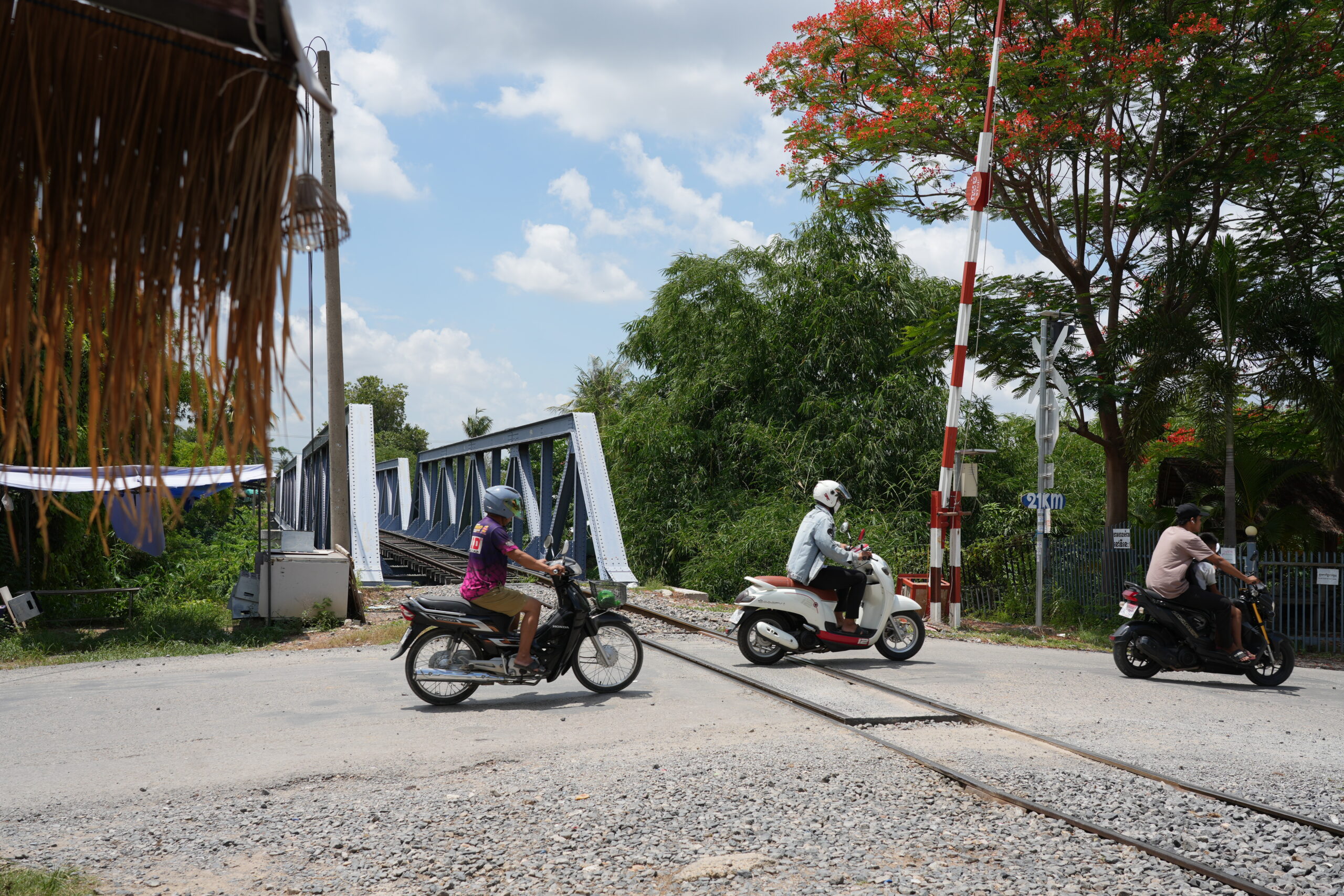 Railway crossing with flame tree