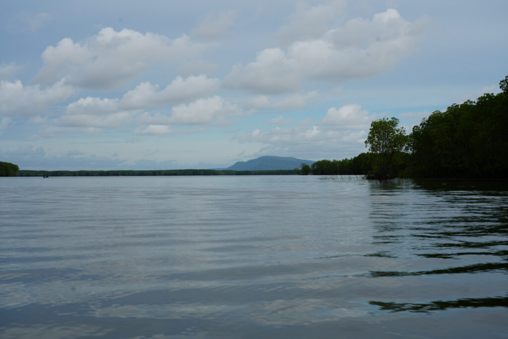 Longtail boat against mangroves