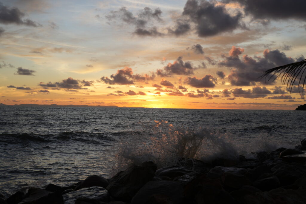 Palm and crashing surf sunset