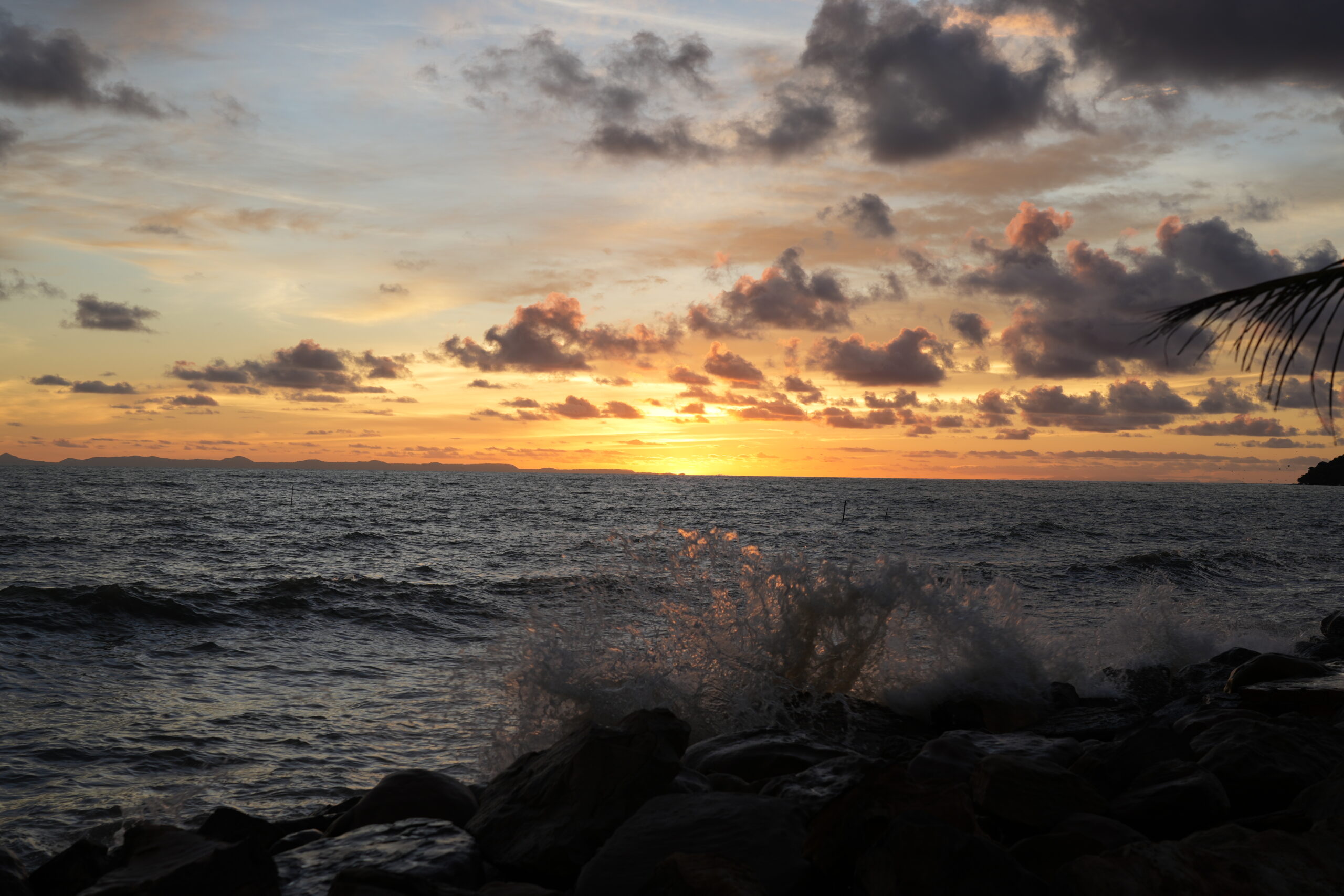 Palm and crashing surf sunset