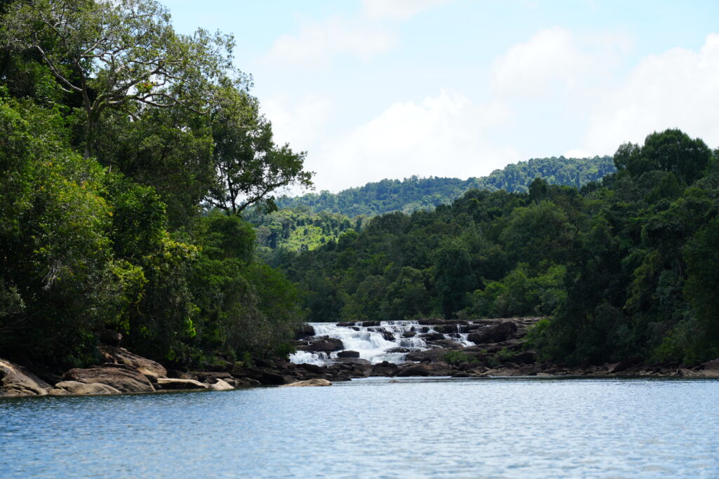 Jungle river with distant falls