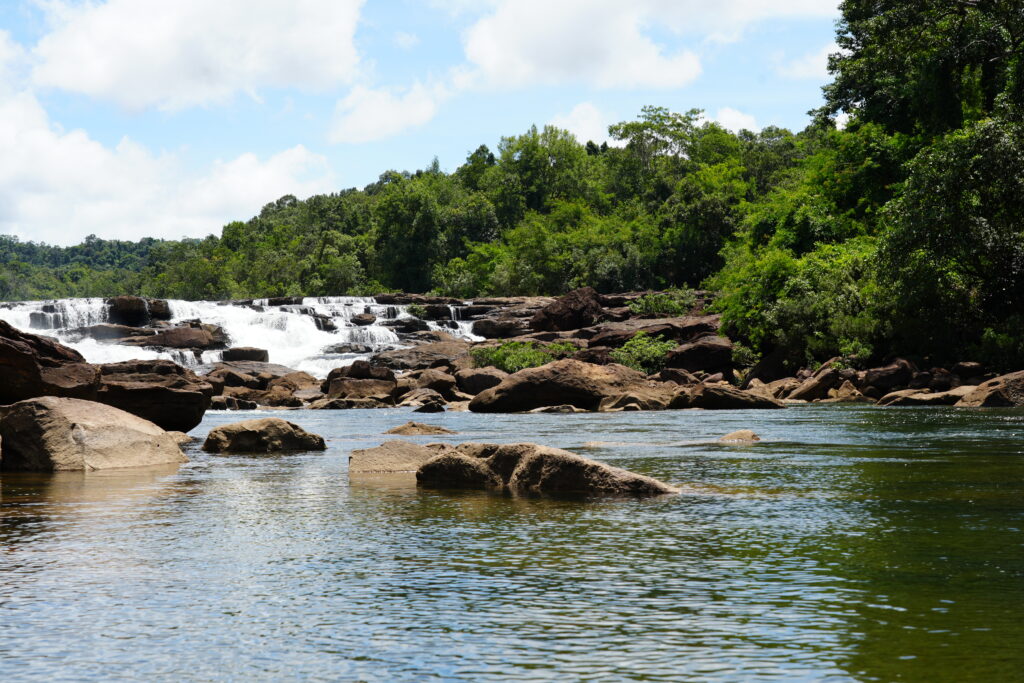 Cardamom river waterfall