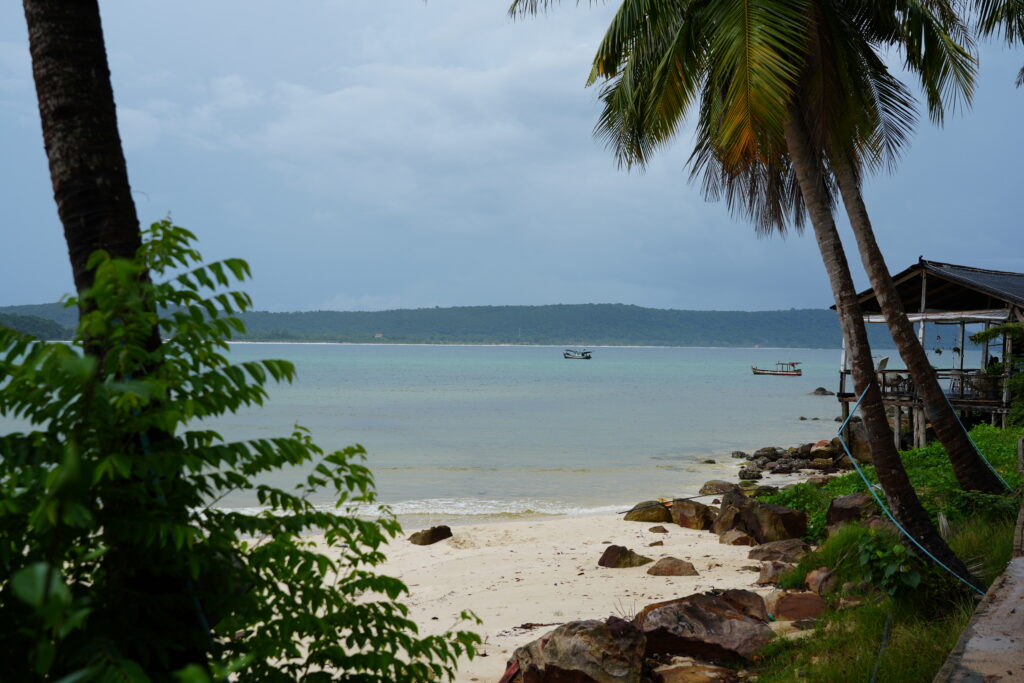 Palms over rocky shoreline