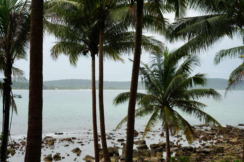 Palm-framed rocky cove