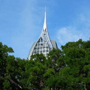The crystalline spire of the RSA Battle House Tower above live oaks