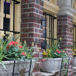 Spring flower window boxes along a brick and stone rowhouse facade