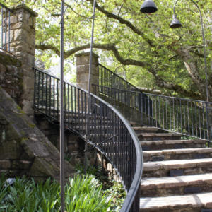 A curving stone stairway with wrought iron railing under spring trees