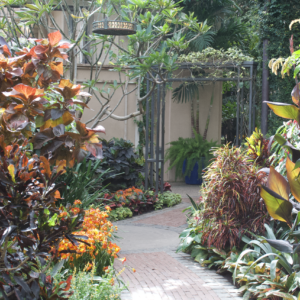Brick path winding through deep red and orange ornamental foliage