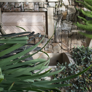 Weathered stone wall framed by arching green foliage
