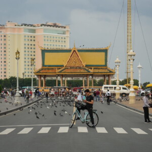 Cyclist and pigeons on a boulevard before a riverside pavilion
