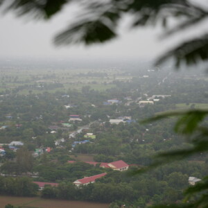 A hazy green valley framed by dark leaves in the foreground