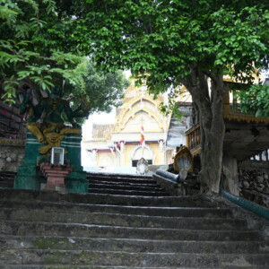 A long stone stairway climbing to a temple gate through trees
