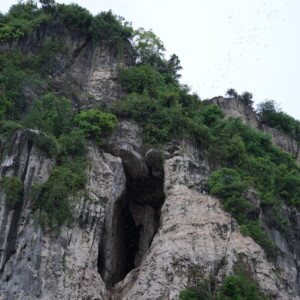 Sheer weathered limestone cliffs topped with green scrub