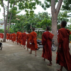 A long line of monks in saffron robes walking a road at dawn, a dog crossing behind