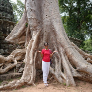 A person standing among the vast buttress roots of a silk cotton tree