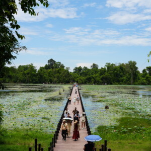 Visitors with umbrellas crossing a narrow causeway over a lotus lake