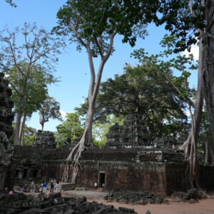 A ruined courtyard with roots spilling over the walls