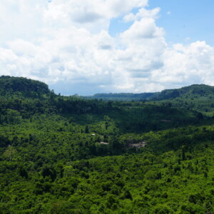 A broad forested valley under towering white clouds
