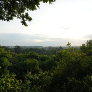 Sun sinking behind a ridge of dense jungle canopy