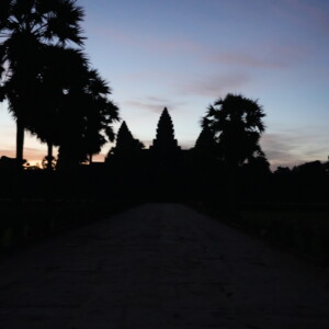 Palms and temple towers in silhouette along a dark causeway