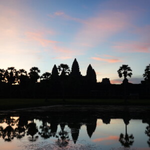 Angkor Wat and sugar palms mirrored under a pink and violet sky