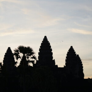 The towers of Angkor Wat and sugar palms against a soft dawn sky